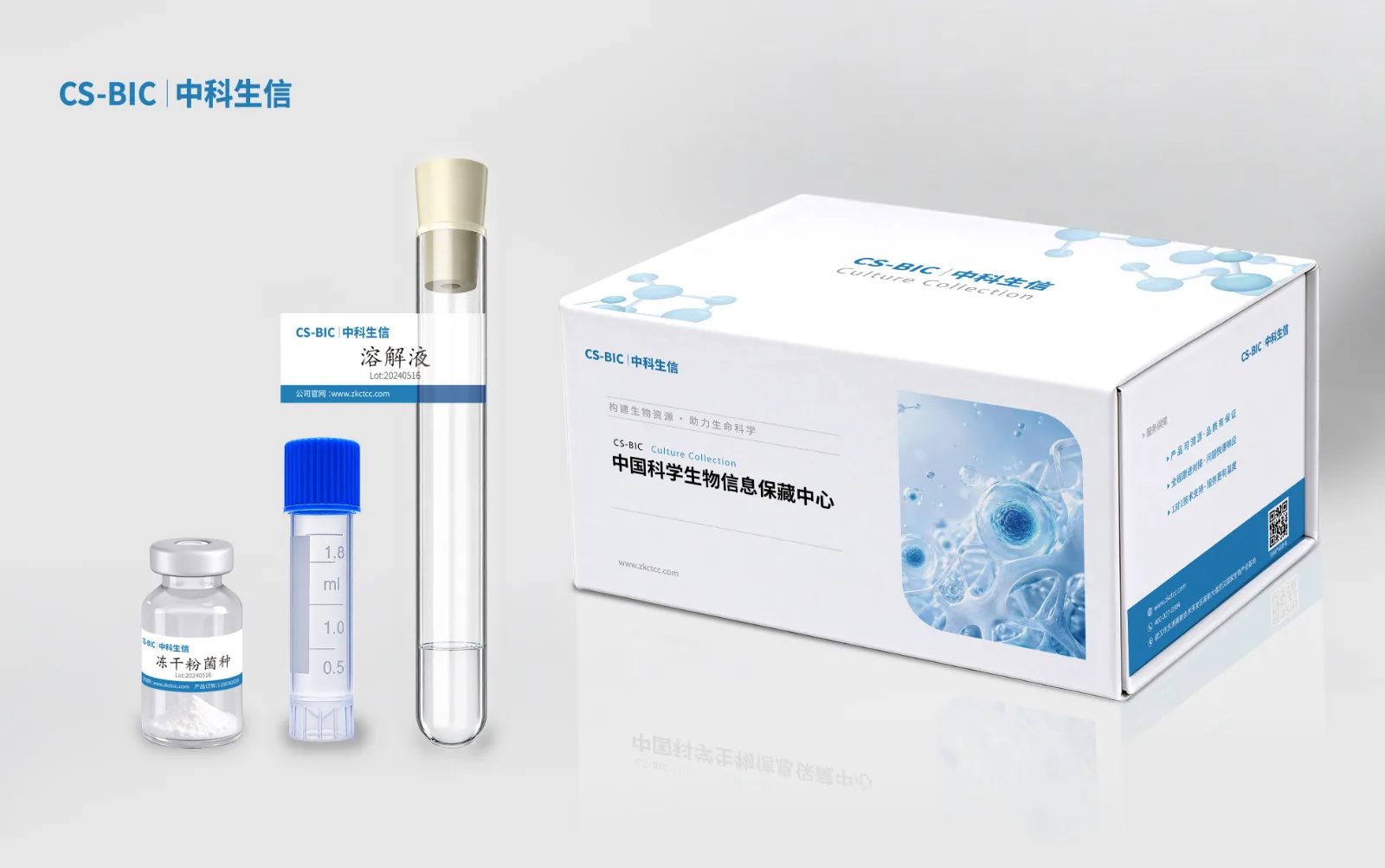 威特弗拉里亚鞘氨醇盒菌